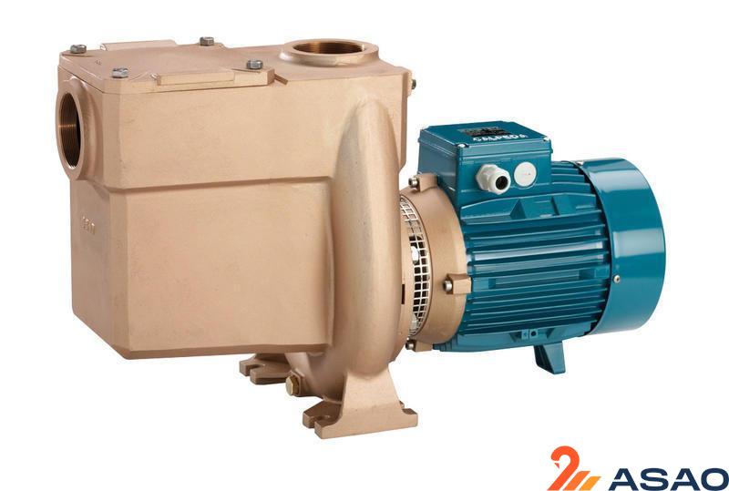 Calpeda B-NMP 50/12F/B